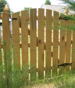 Scallop Picket Fence with Gate