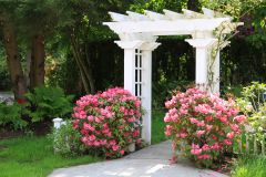 5 Reasons to Add an Arbor to Your Backyard