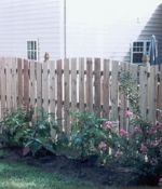 Semi Private, Scalloped Fence with French Gothic Posts
