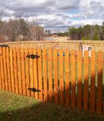 Dog-ear Picket Fence with Gate